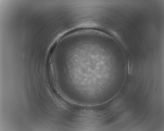 X0000059840531200511041815