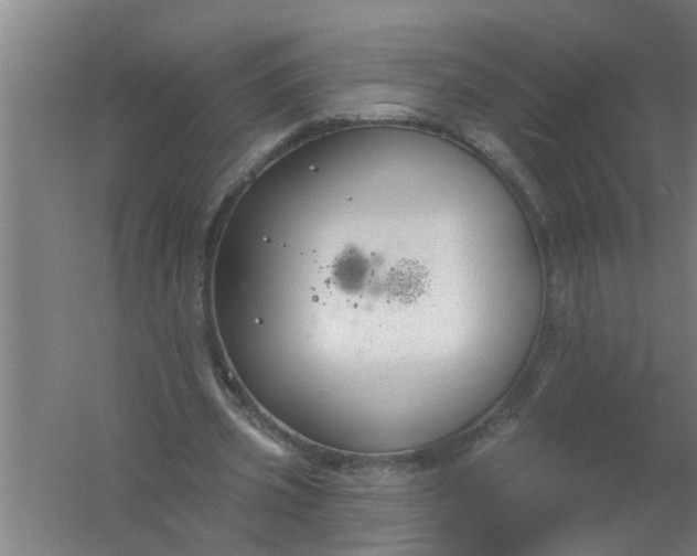 X0000059840533200511041816