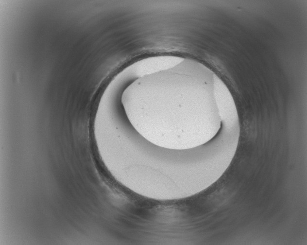 X0000059840534200511041816