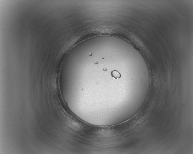 X0000059840537200511041816