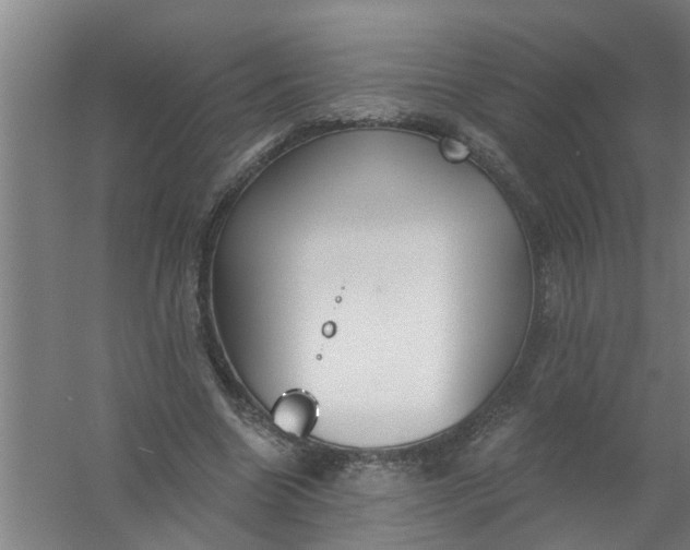 X0000059840538200511041816