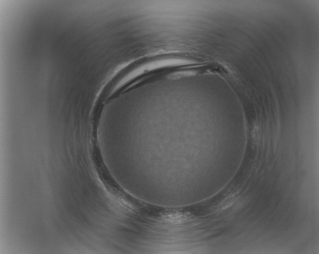 X0000059840540200511041816