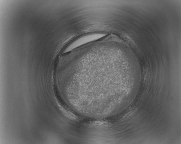 X0000059840542200511041816