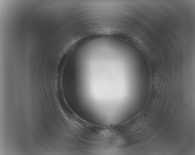 X0000059840544200511041816