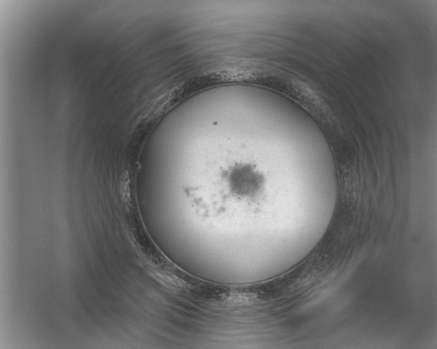 X0000059840549200511041816