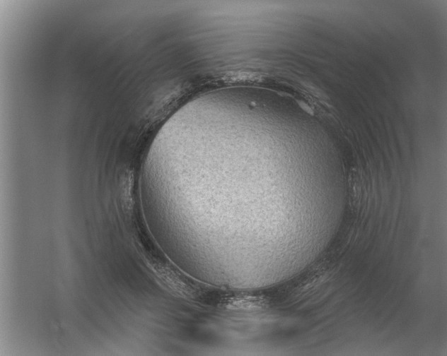 X0000059840550200511041816