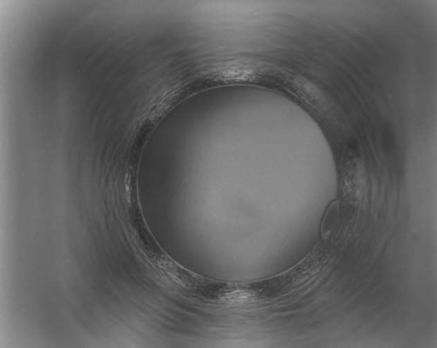 X0000059840551200511041816