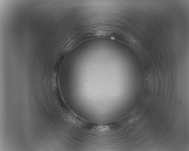 X0000059840554200511041816