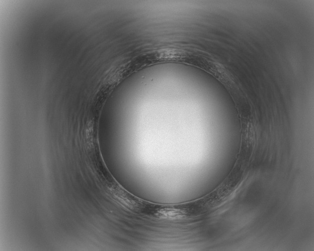 X0000059840557200511041816