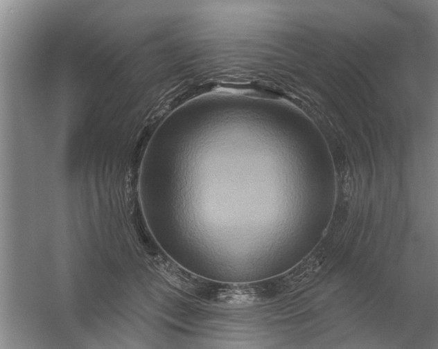 X0000059840559200511041816