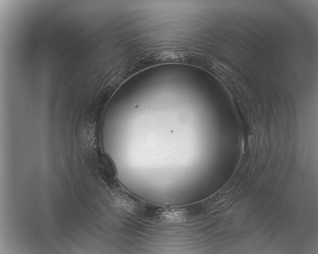 X0000059840560200511041816