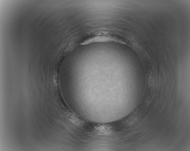 X0000059840561200511041816