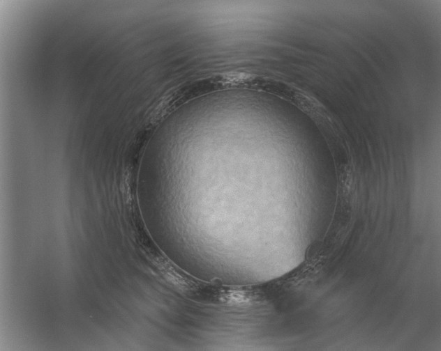 X0000059840565200511041816