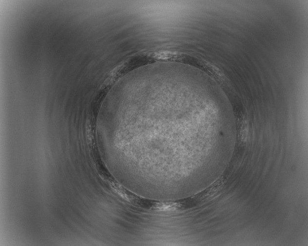 X0000059840569200511041816