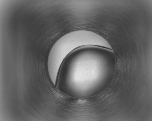 X0000059840570200511041816