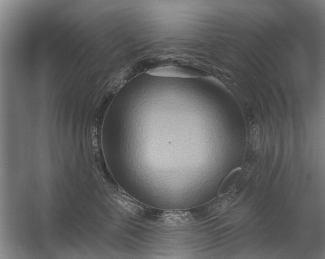 X0000059840571200511041816