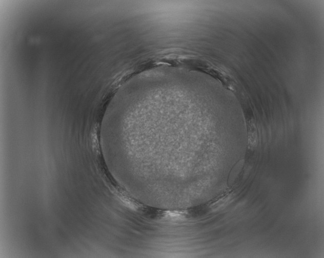 X0000059840573200511041816