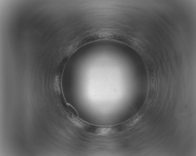 X0000059840575200511041816