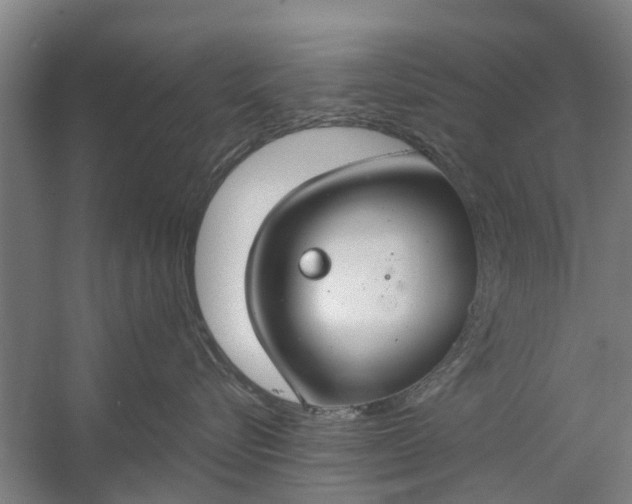 X0000059840576200511041816