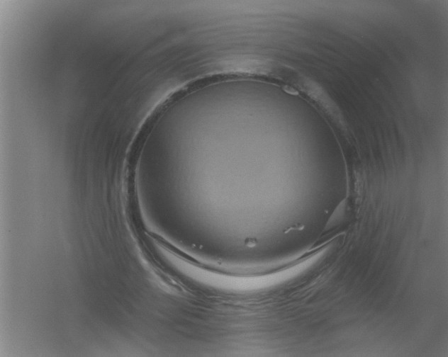 X0000059840580200511041815