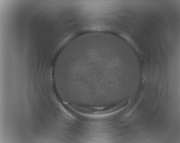 X0000059840585200511041815