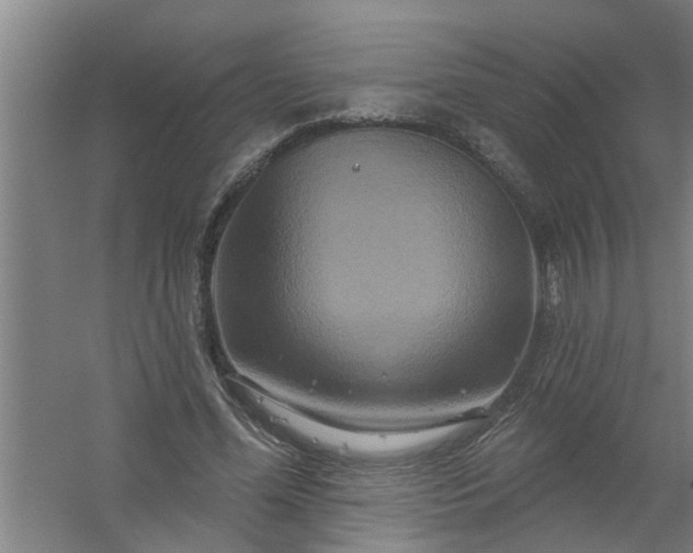 X0000059840588200511041815