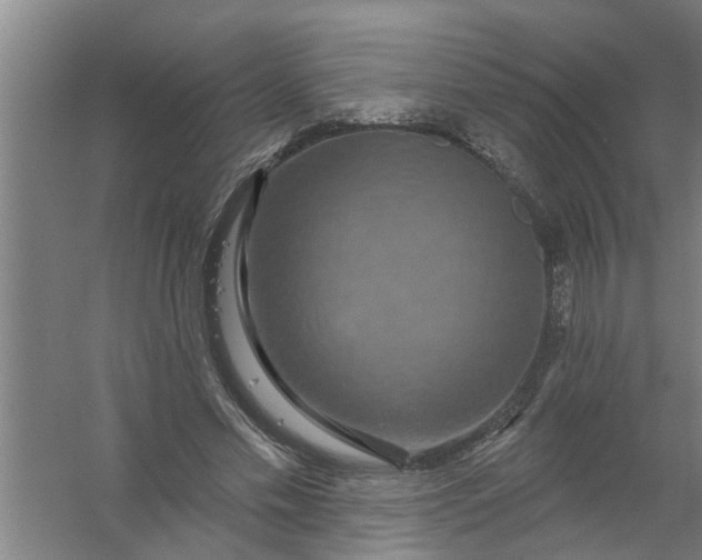 X0000059840589200511041815