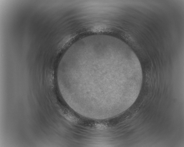 X0000059840592200511041815