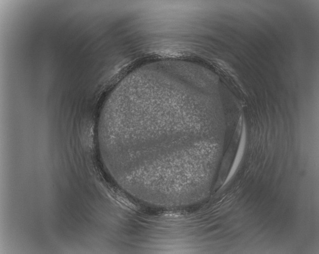 X0000059840596200511041815