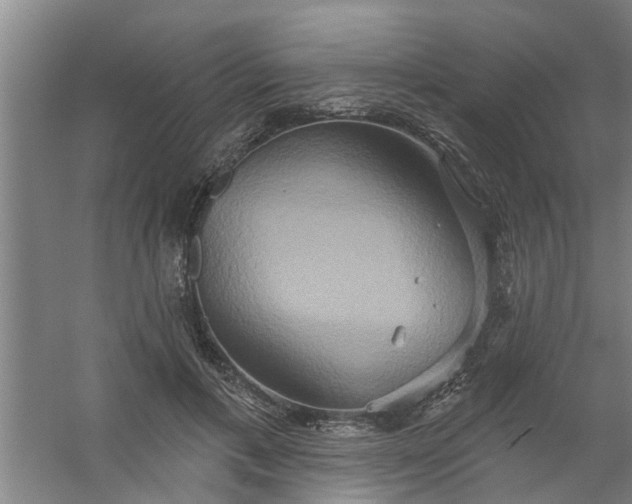 X0000059840597200511041815