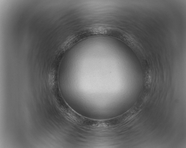 X0000059840600200511041815