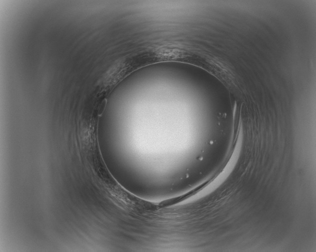 X0000059840601200511041815