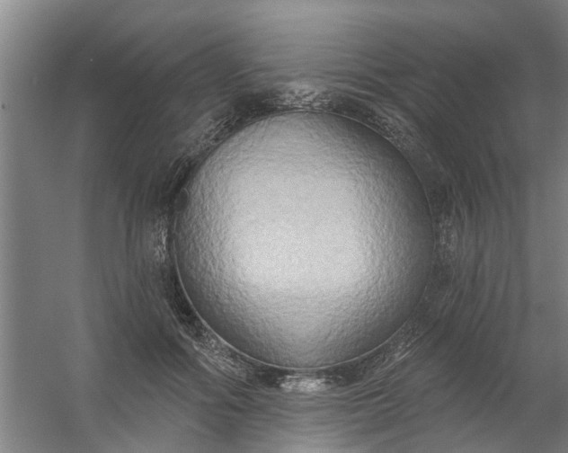 X0000059840602200511041815