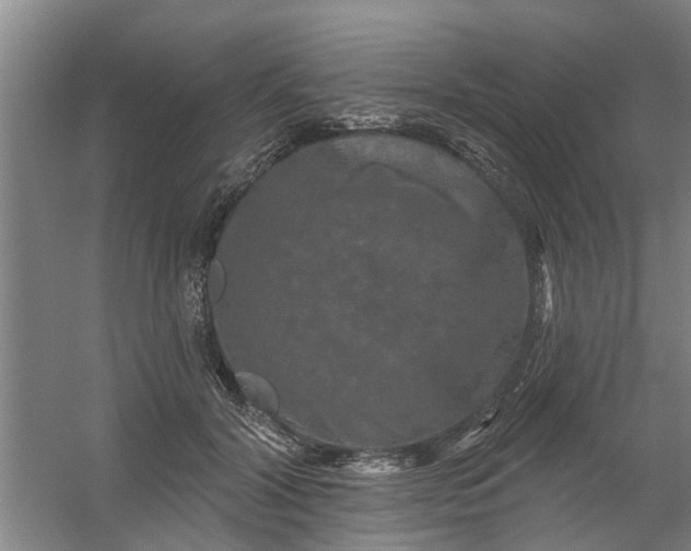 X0000059840604200511041815