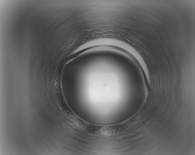 X0000059840608200511041815