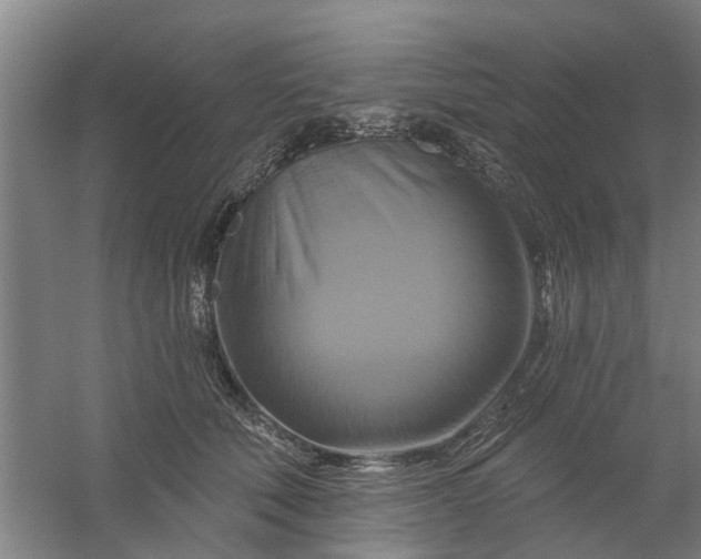 X0000059840610200511041815