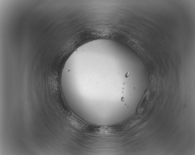 X0000059840612200511041815