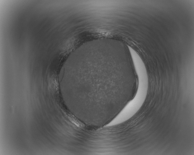 X0000059840613200511041815