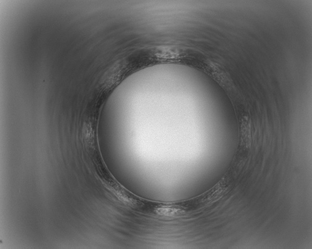 X0000059840614200511041815