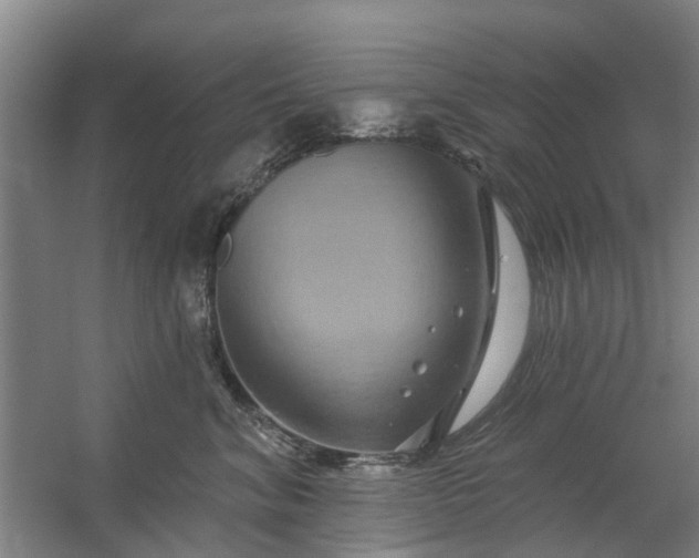 X0000059840620200511041815