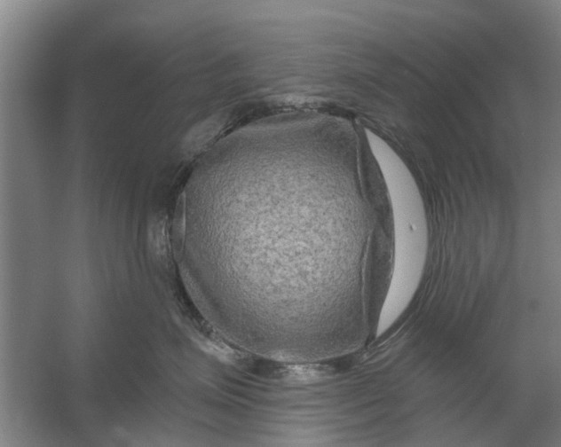 X0000059840623200511041815