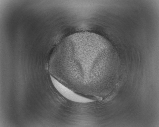 X0000059840624200511041815