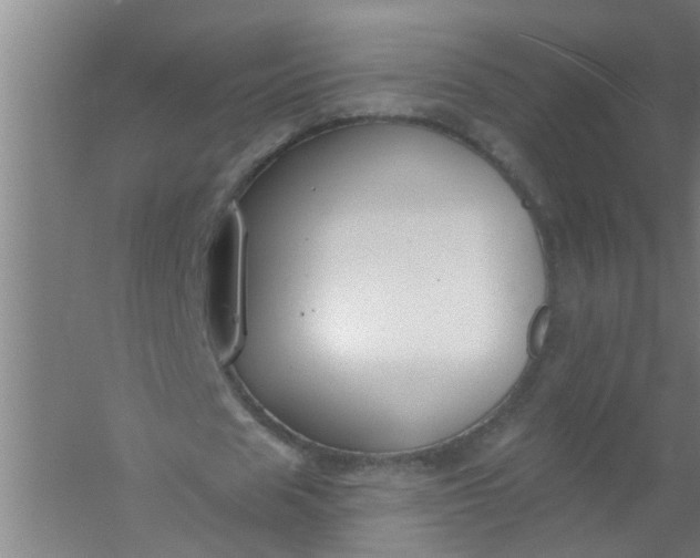 X0000059840625200511041814