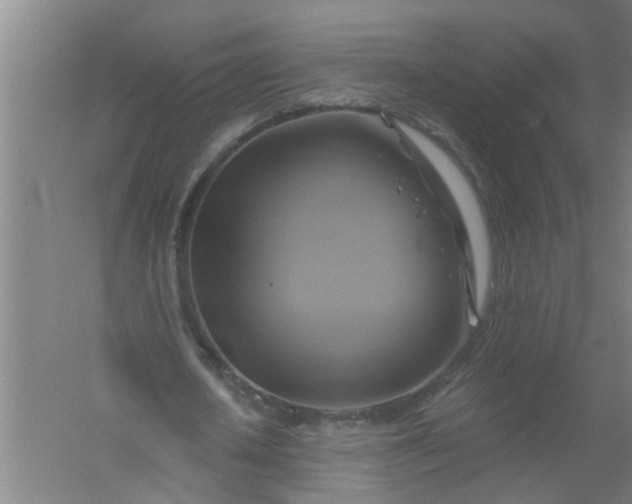 X0000059840626200511041814