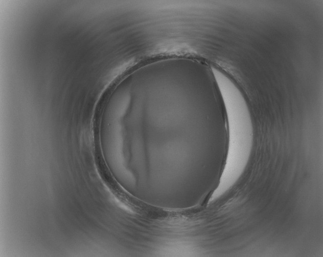 X0000059840630200511041814