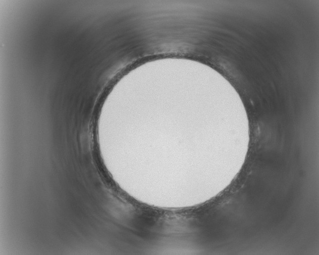 X0000059840632200511041814