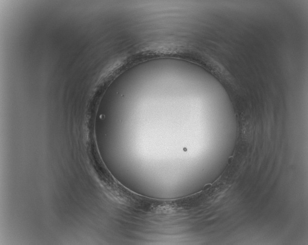 X0000059840635200511041814