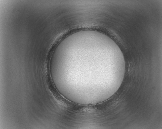 X0000059840636200511041814