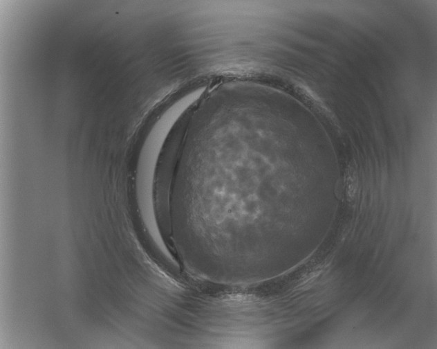 X0000059840637200511041814