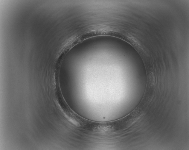 X0000059840638200511041814